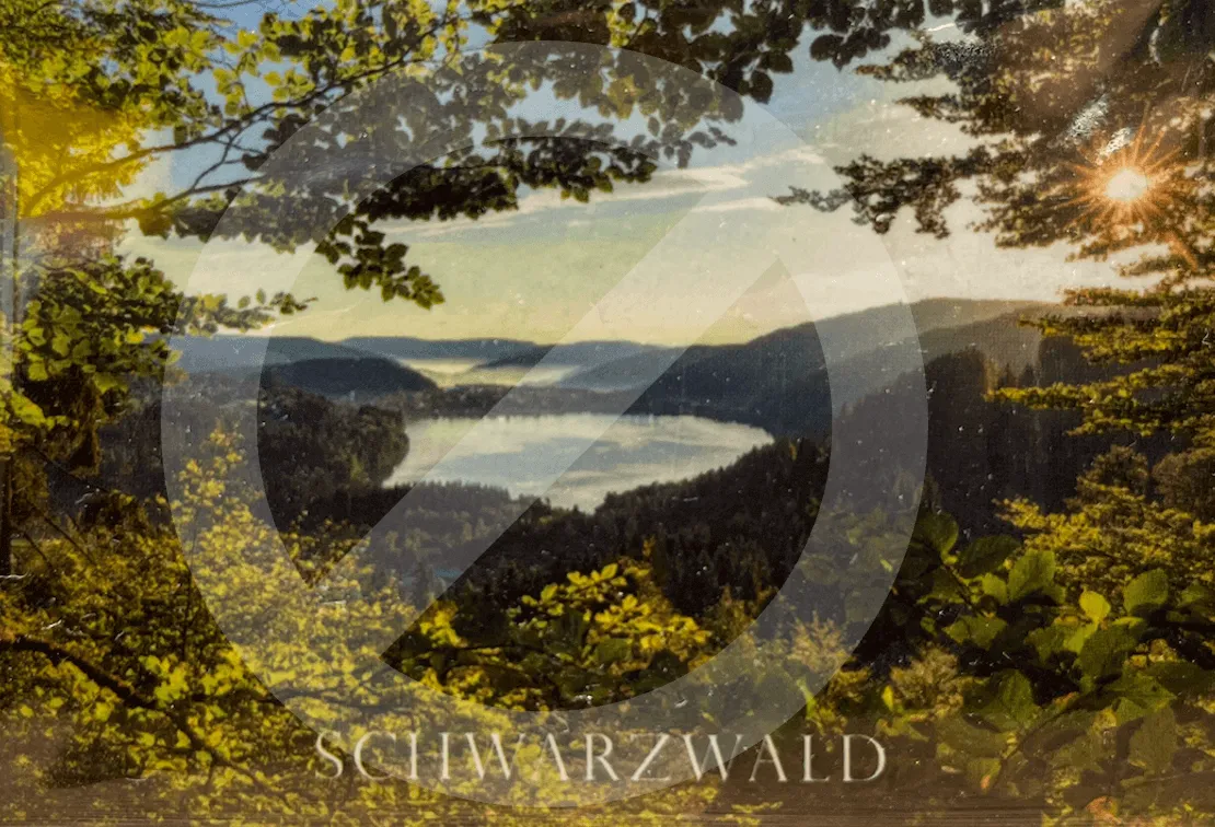 Schwarzwald-Magnete