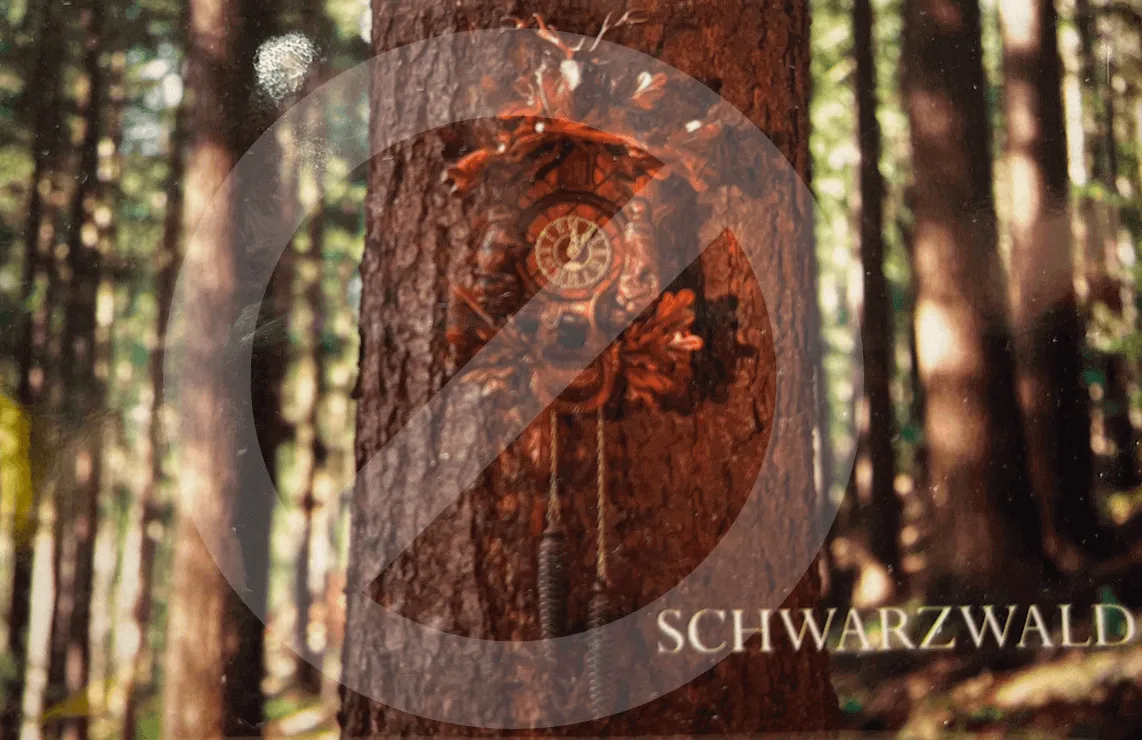 Schwarzwald-Magnete