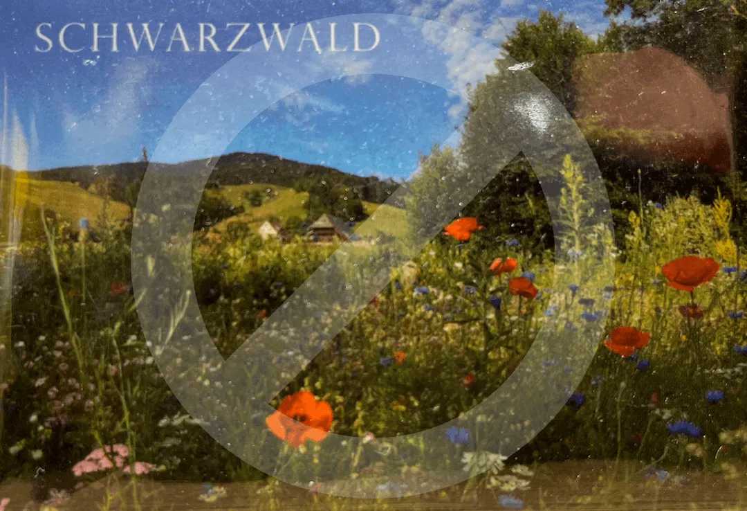 Schwarzwald-Magnete
